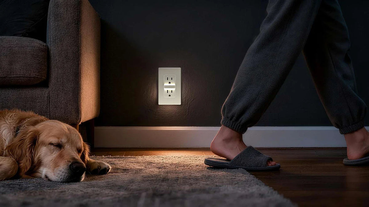 Will My Plug Fit? Matching Outlets to Your Appliances Before You Buy