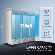Commercial Freezer 81
