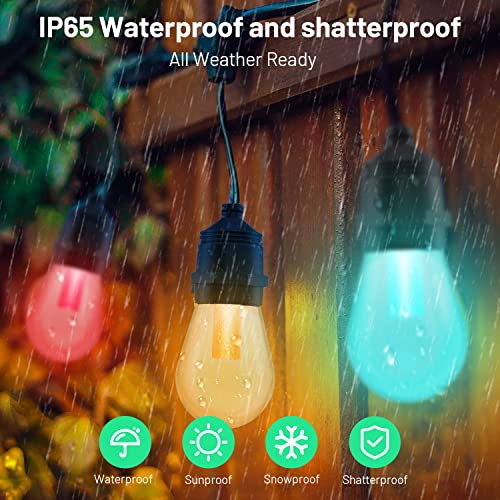 ELEGRP Smart Outdoor String Lights, Waterproof, WiFi Controlled, 48FT/96FT, Color-Changing Dimmable LED PET Bulbs, Works with Alexa & Google Assistant