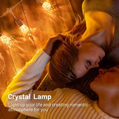 Smart Outdoor RGB String Dimmable Lights Color Changing APP WiFi Control 48FT 24 LED Acrylic IP65 Waterproof Bulbs for any Garden or Holiday Party