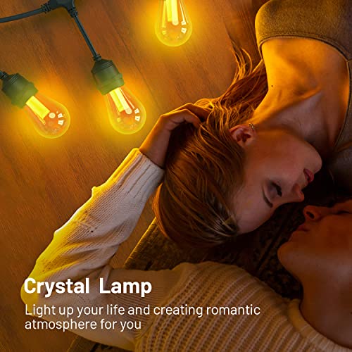 Smart Outdoor String Dimmable Lights Color Changing APP WiFi Control 48FT-24 or 96FT-48 LED PET Bulbs IP65 Waterproof for any Garden or holiday party